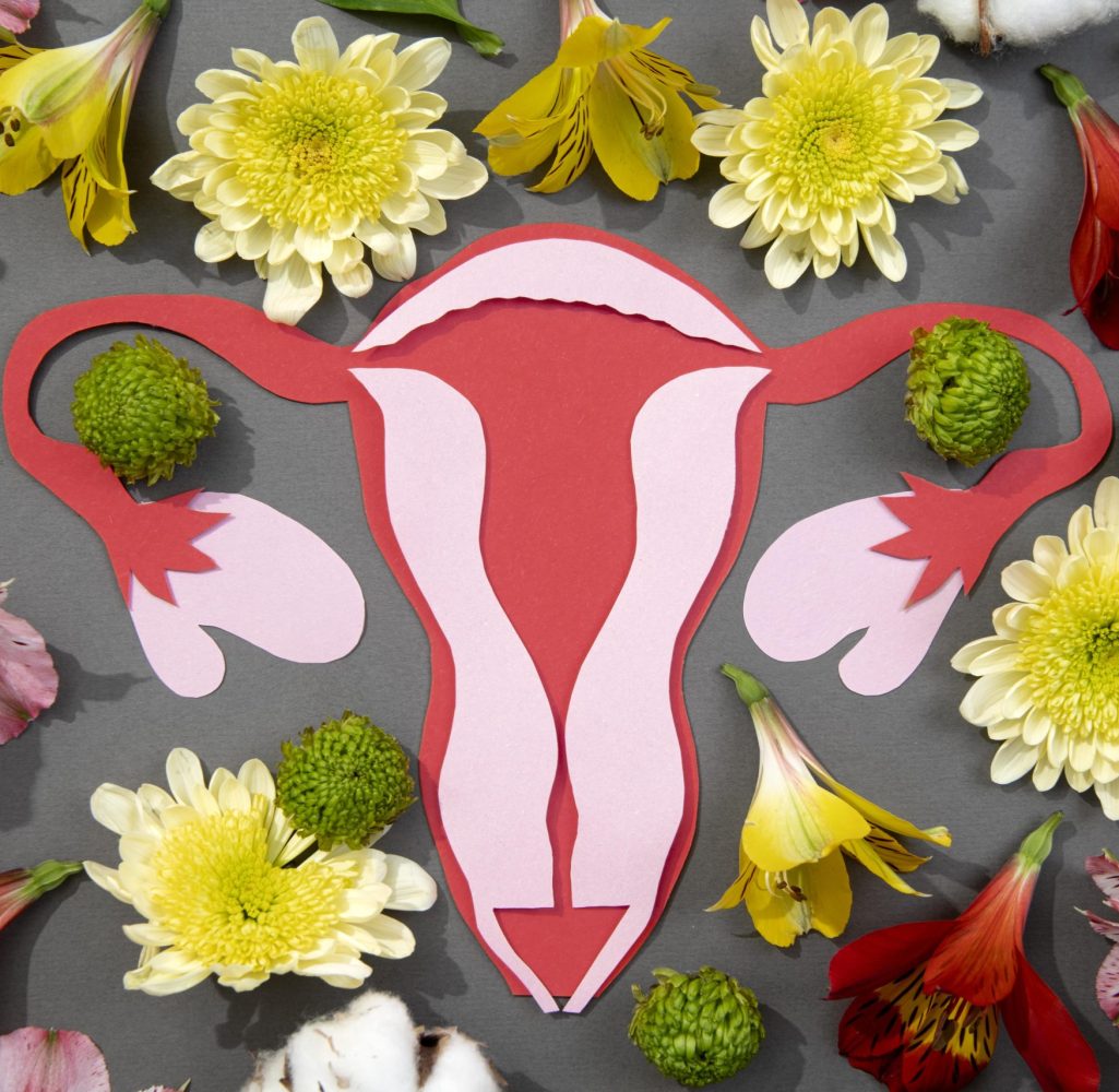 beautiful-flower-still-life-ovary-min